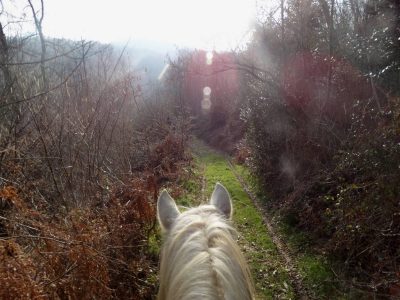 Horse Riding