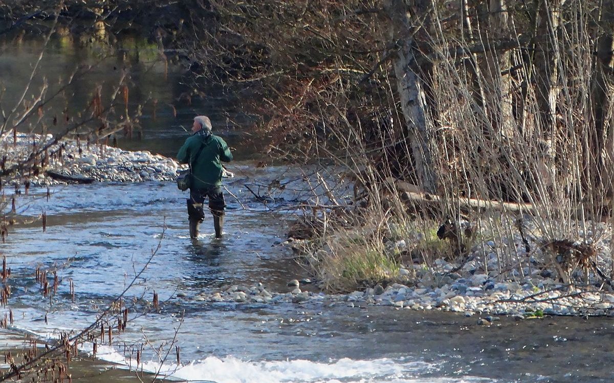 Fishing - Gite Colombe des Bois