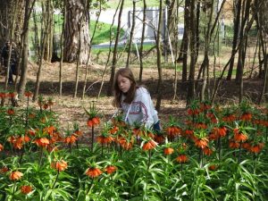 Spring Flowers