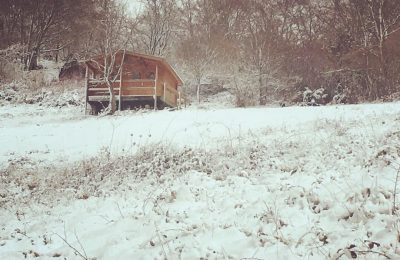 Afternoon winter walk from the gite. Cabin in the snow