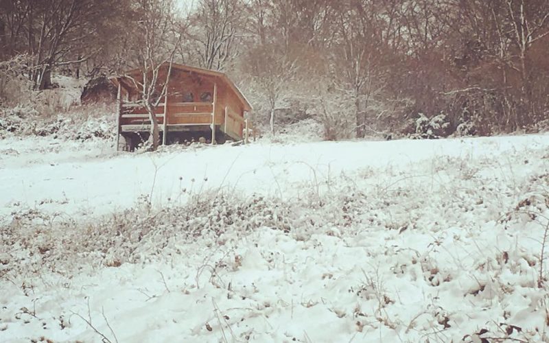 Cabin in the snow